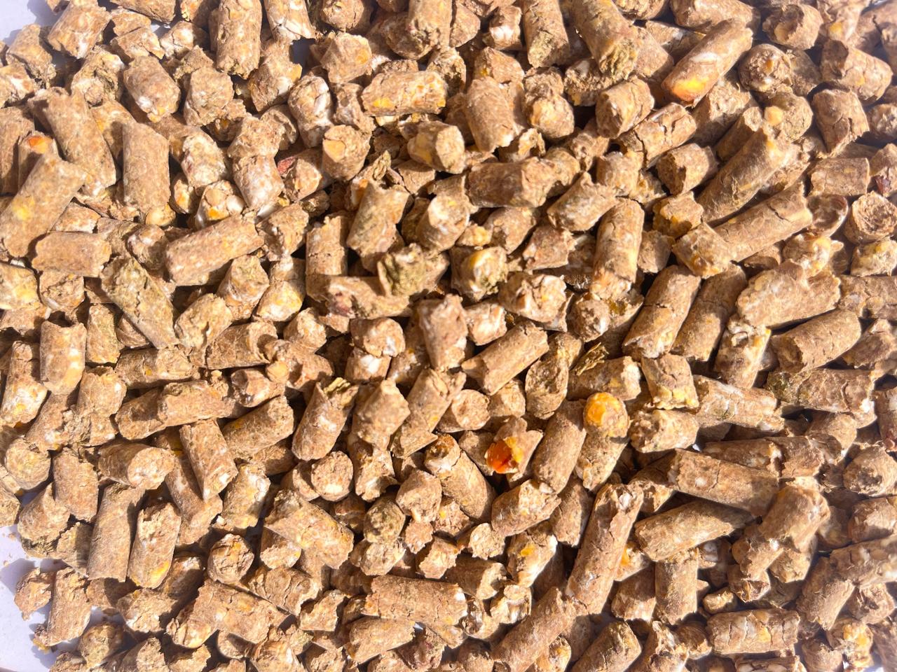 Cheval FEED Details